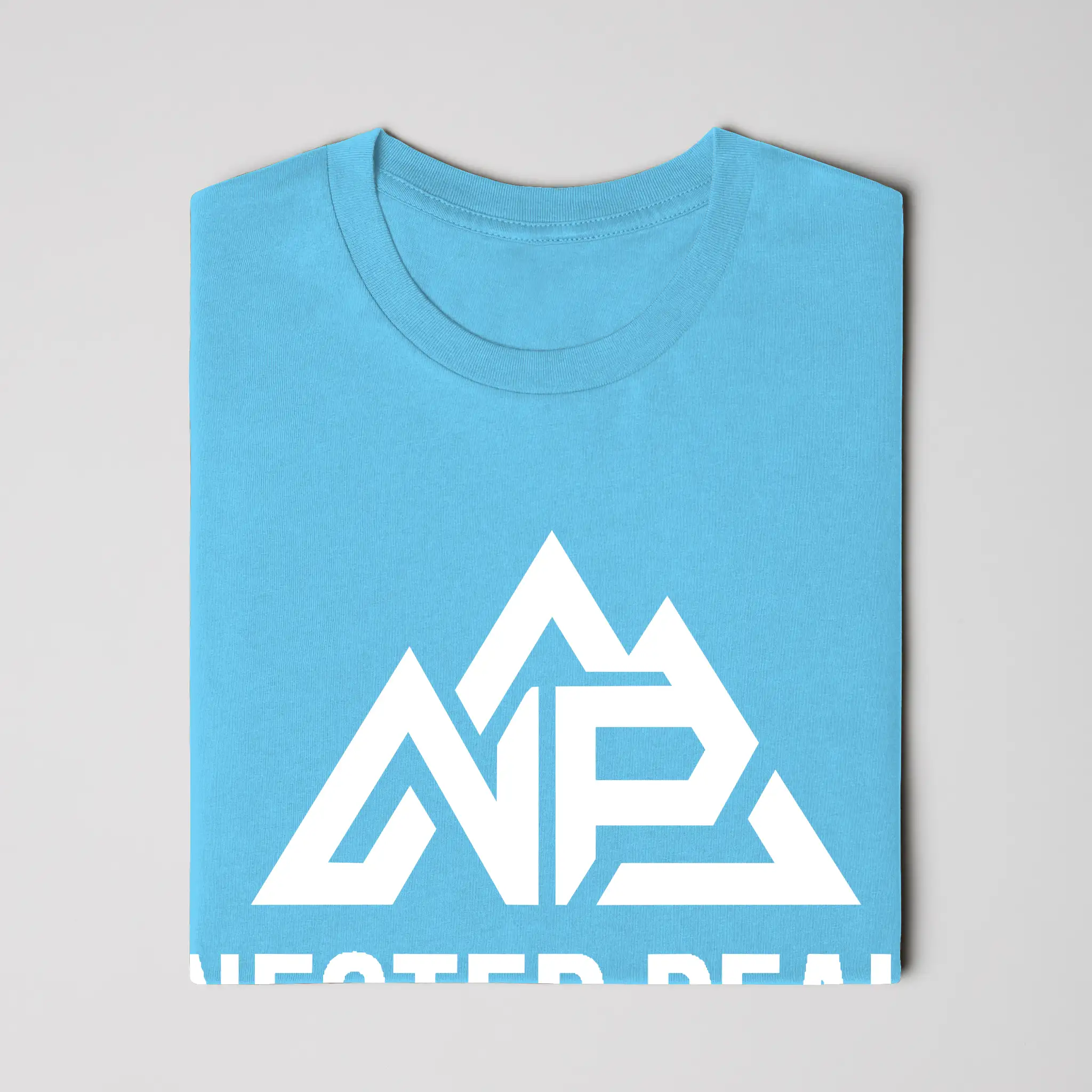 NP Unisex Jersey T-Shirt