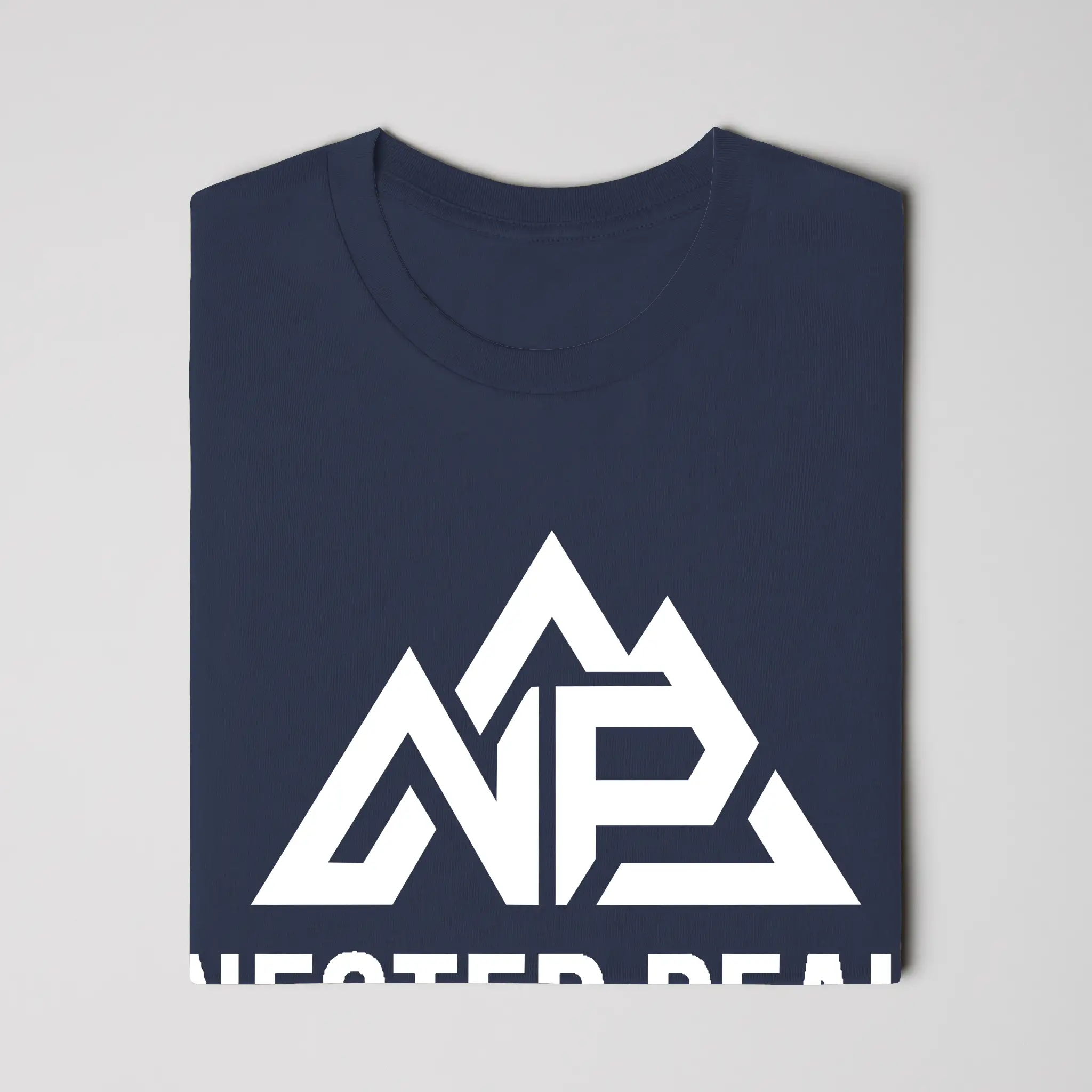 NP Unisex Jersey T-Shirt