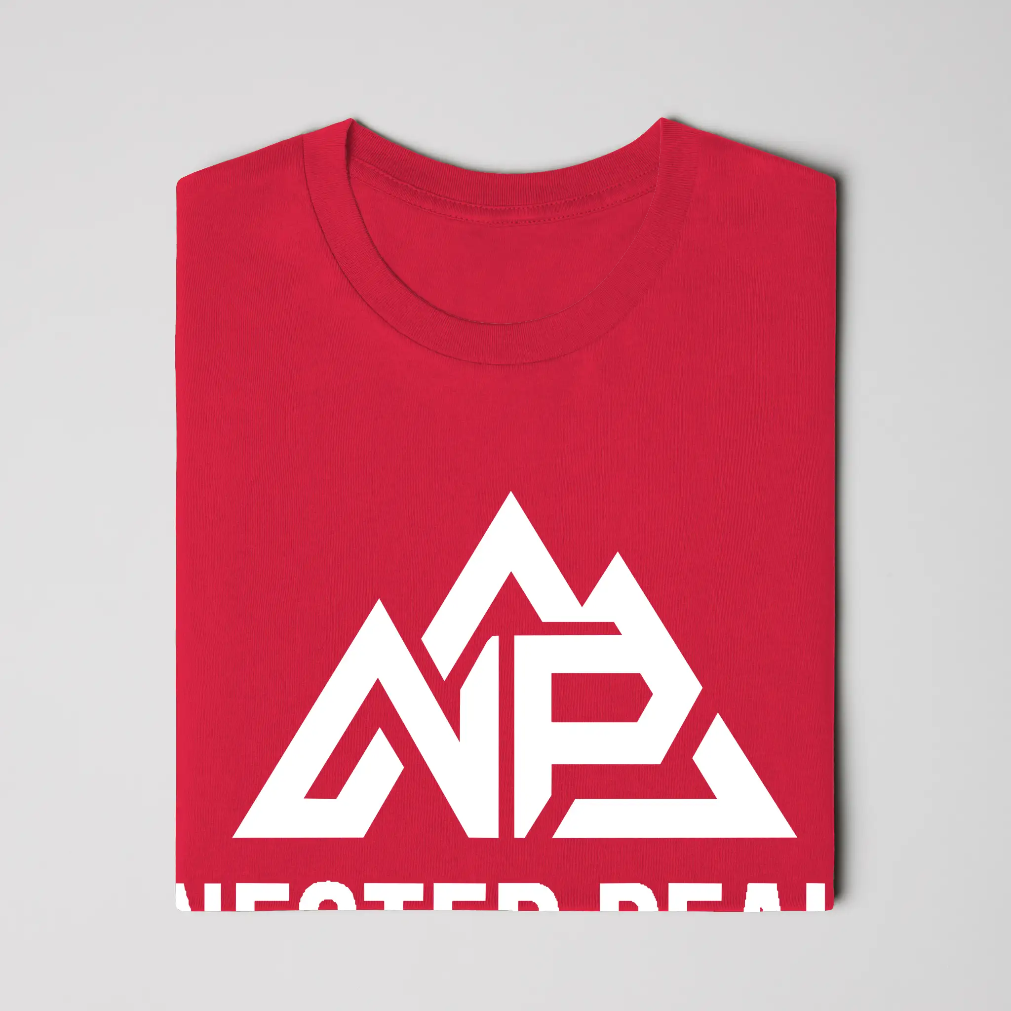 NP Unisex Jersey T-Shirt