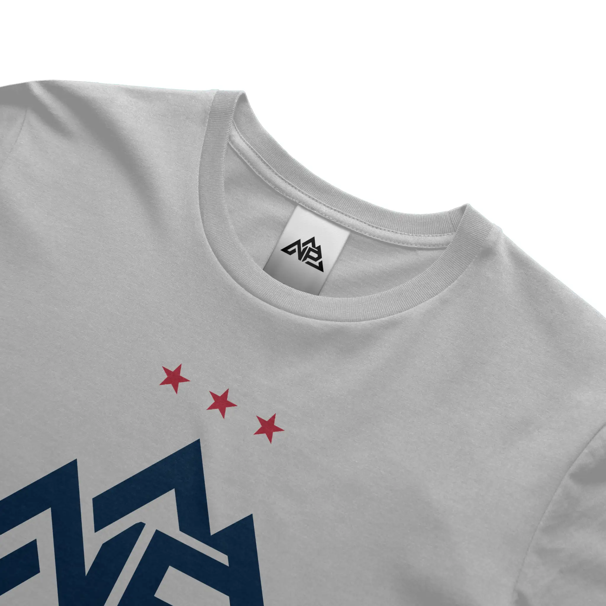 NP 250 Edition Banner T Shirt