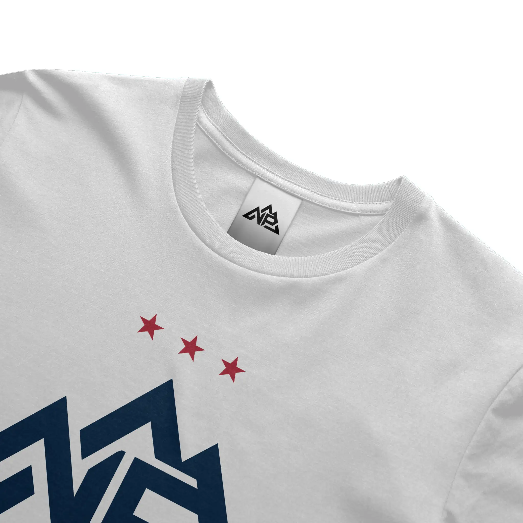 NP 250 Edition Banner T Shirt