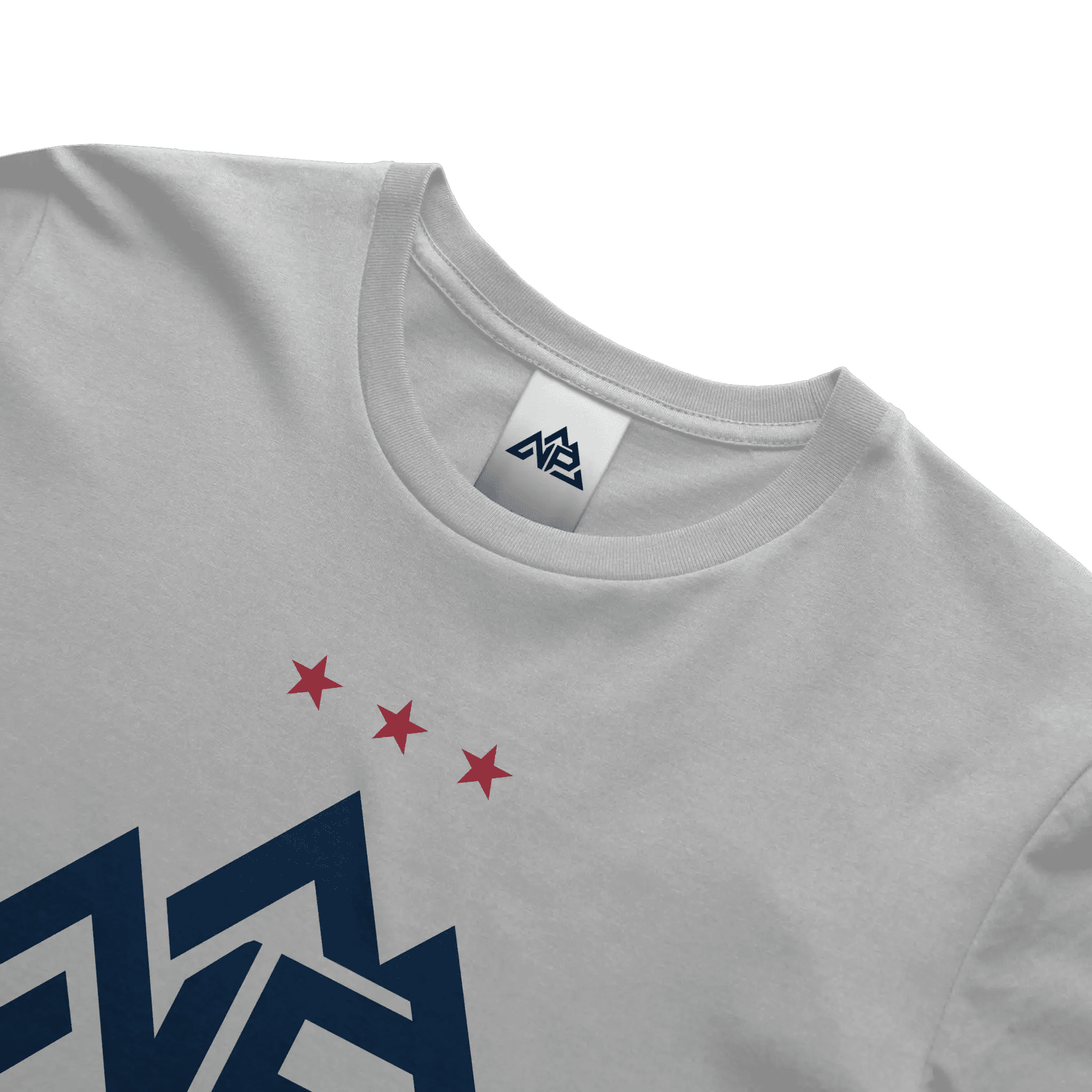 NP 250 Edition Banner T-Shirt - Nested Peak