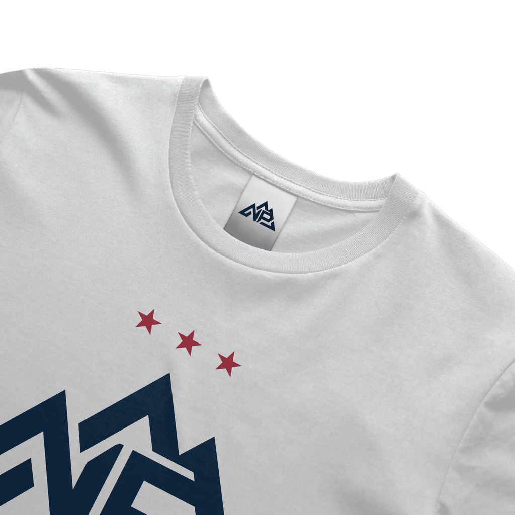 NP 250 Edition Banner T-Shirt - Nested Peak