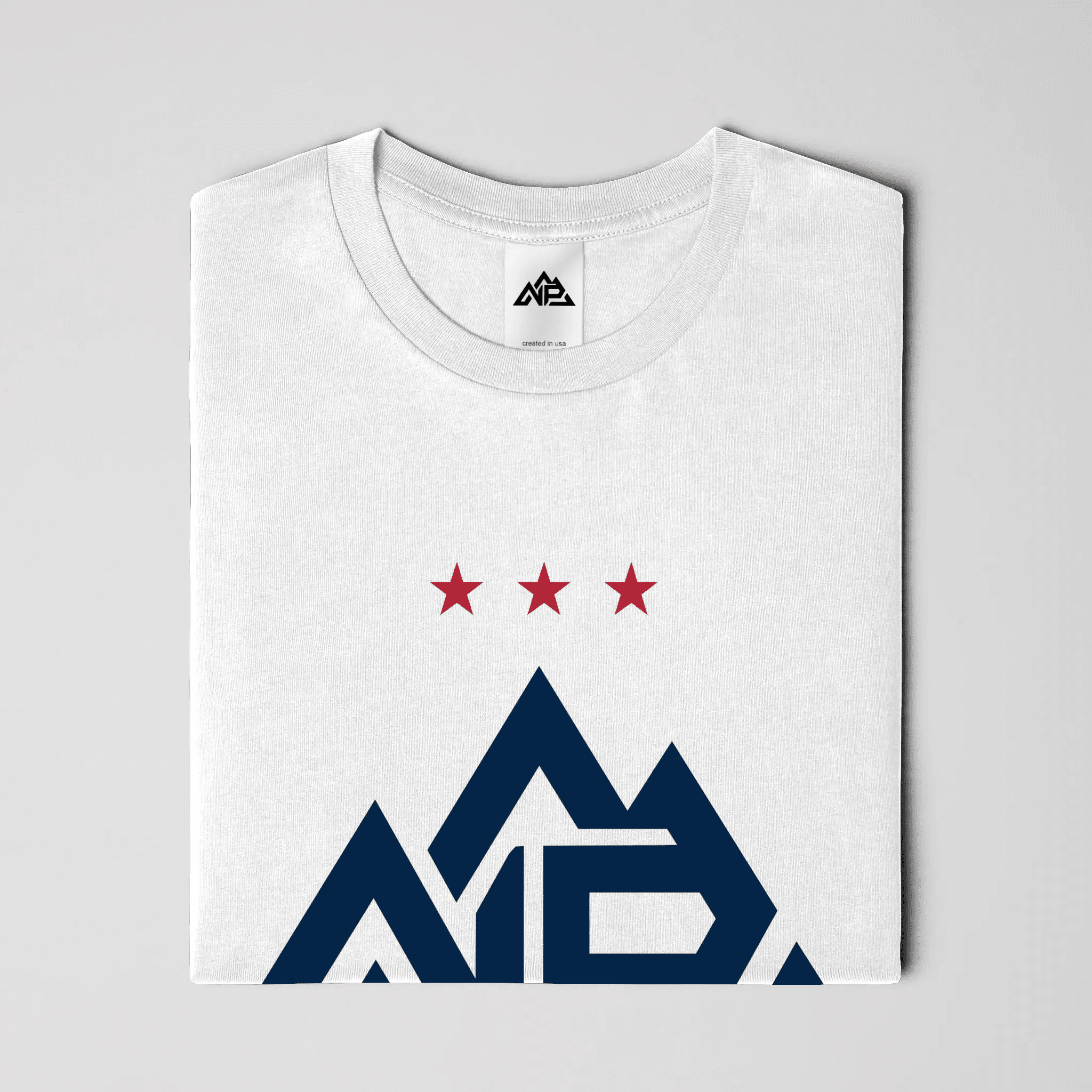 NP 250 Edition Banner T-Shirt - Nested Peak