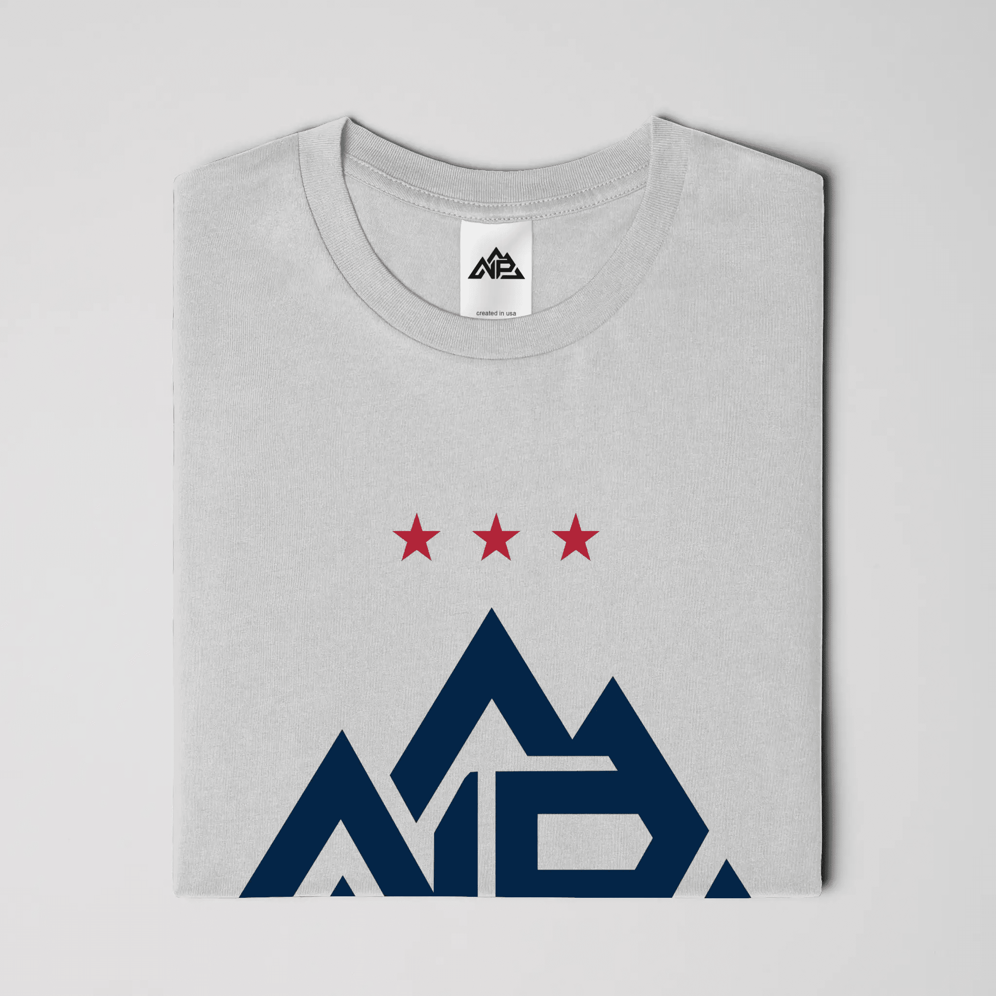 NP 250 Edition Banner T-Shirt - Nested Peak