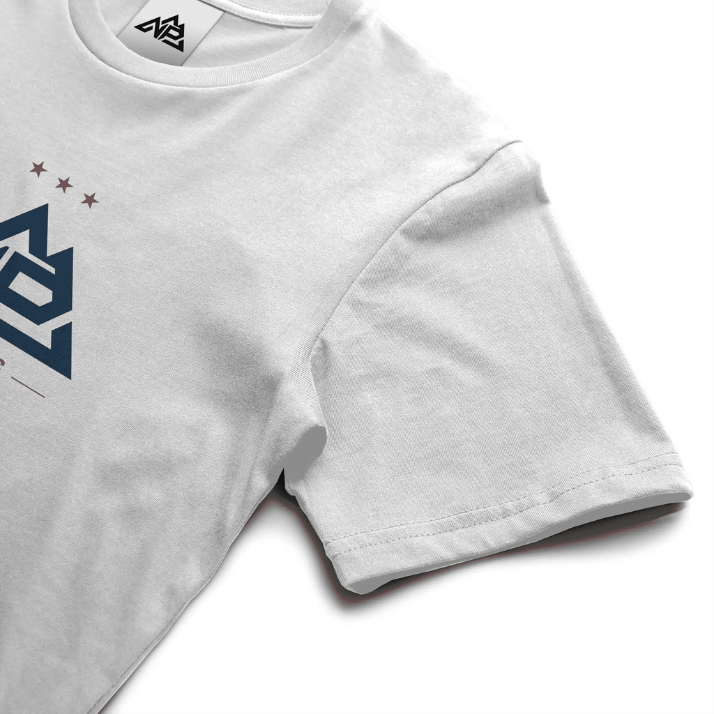NP 250 Edition Unisex T-Shirt | White, Silver - Nested Peak