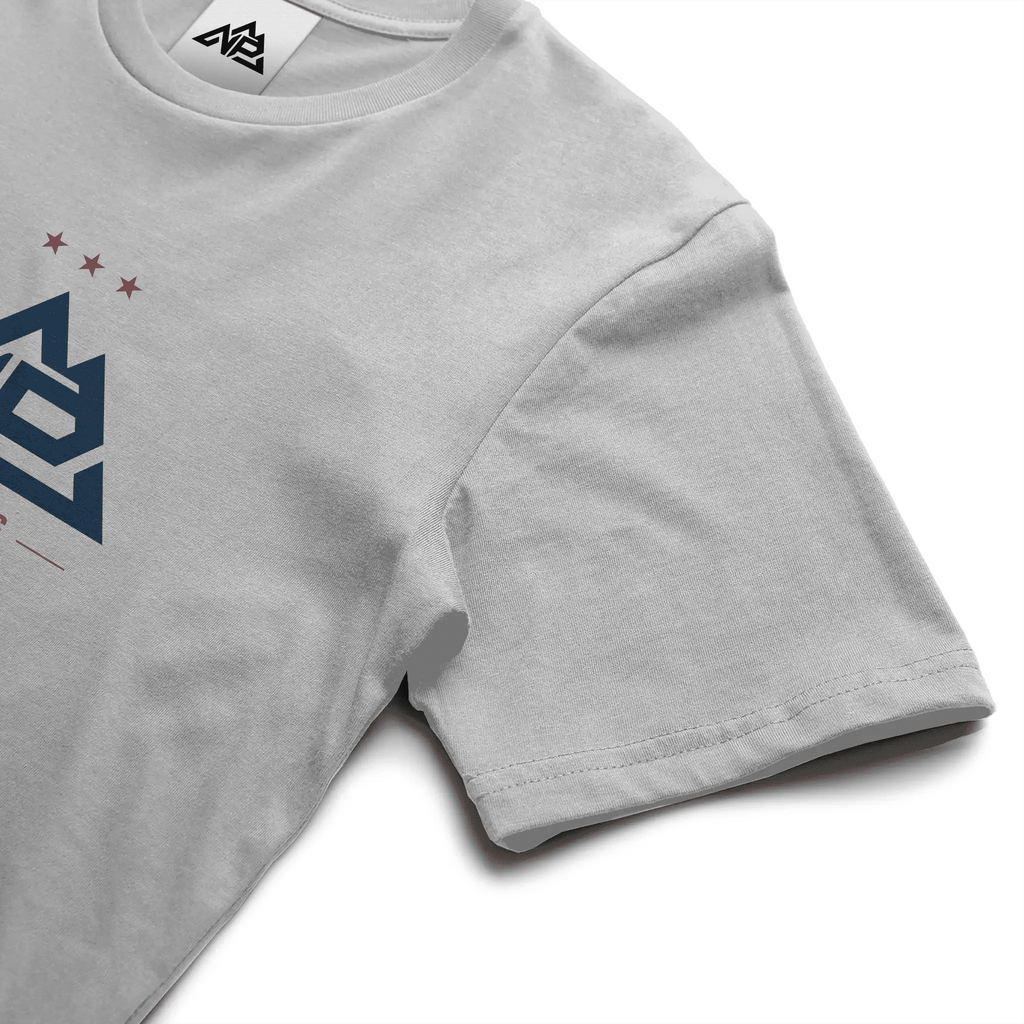 NP 250 Edition Unisex T-Shirt | White, Silver - Nested Peak