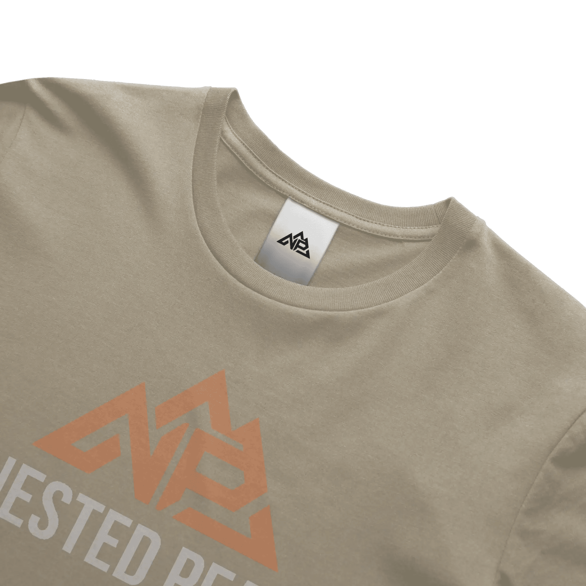 NP 26 Fish DryBlend 174 Men's T Shirt | Sand, Carolina Blue, Gravel - Nested Peak