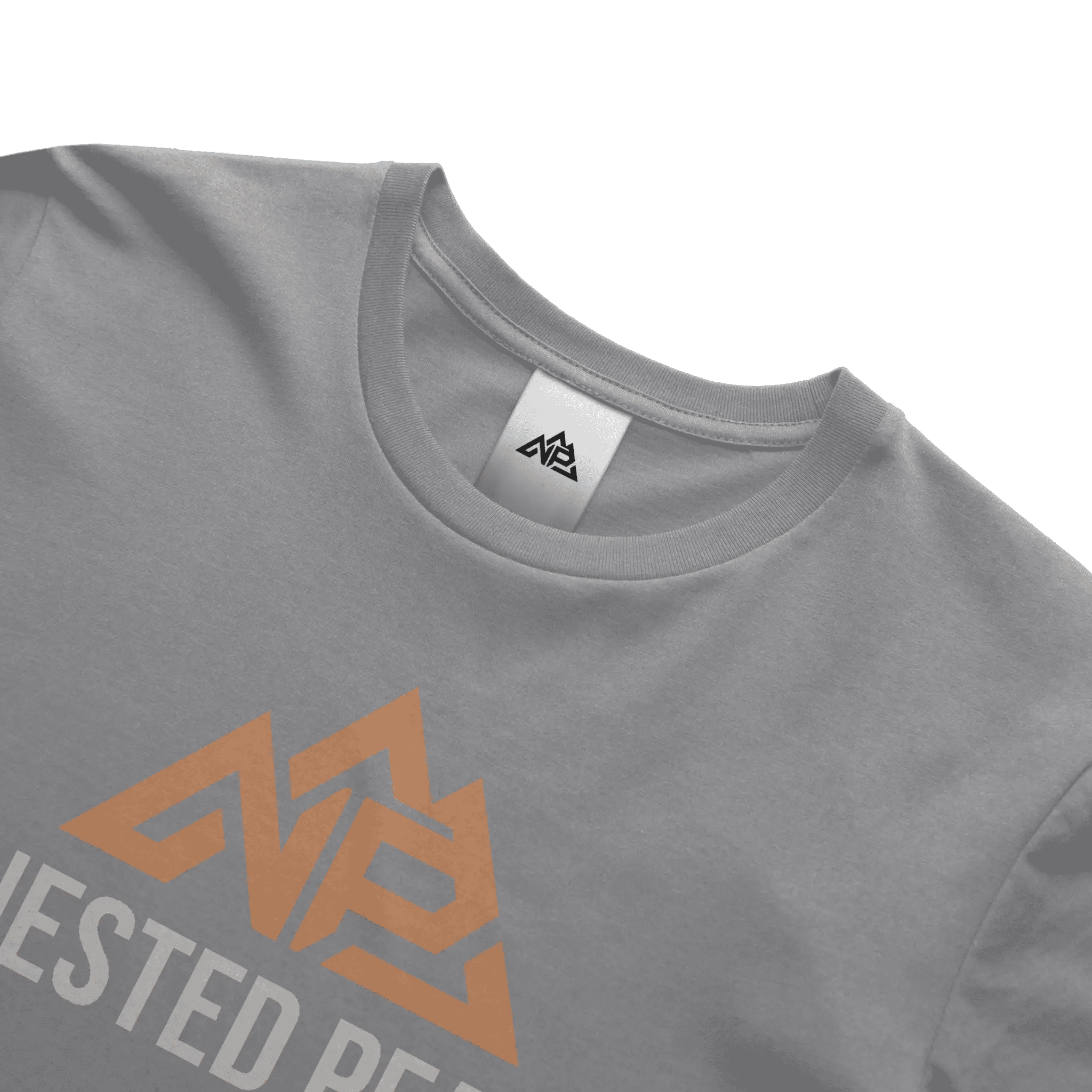 NP 26 Fish DryBlend 174 Men's T Shirt | Sand, Carolina Blue, Gravel - Nested Peak