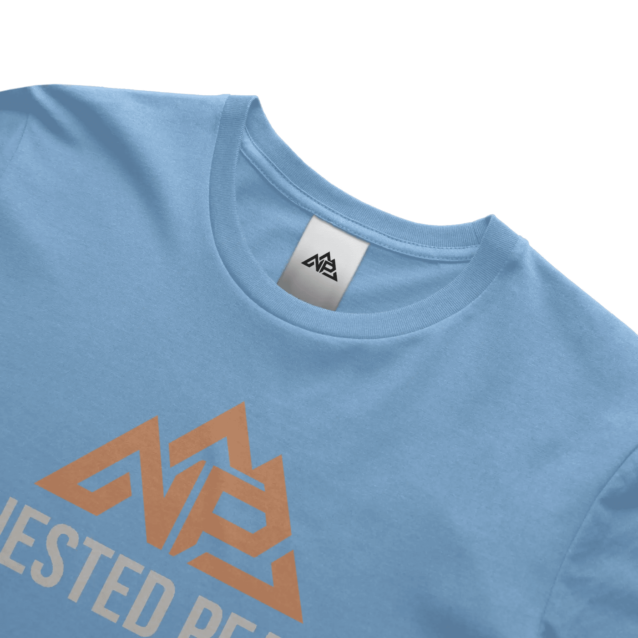 NP 26 Fish DryBlend 174 Men's T Shirt | Sand, Carolina Blue, Gravel - Nested Peak