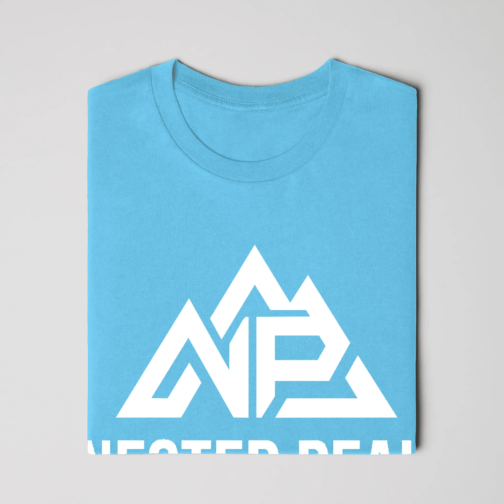 NP Men's Jersey T-Shirt - Nested Peak