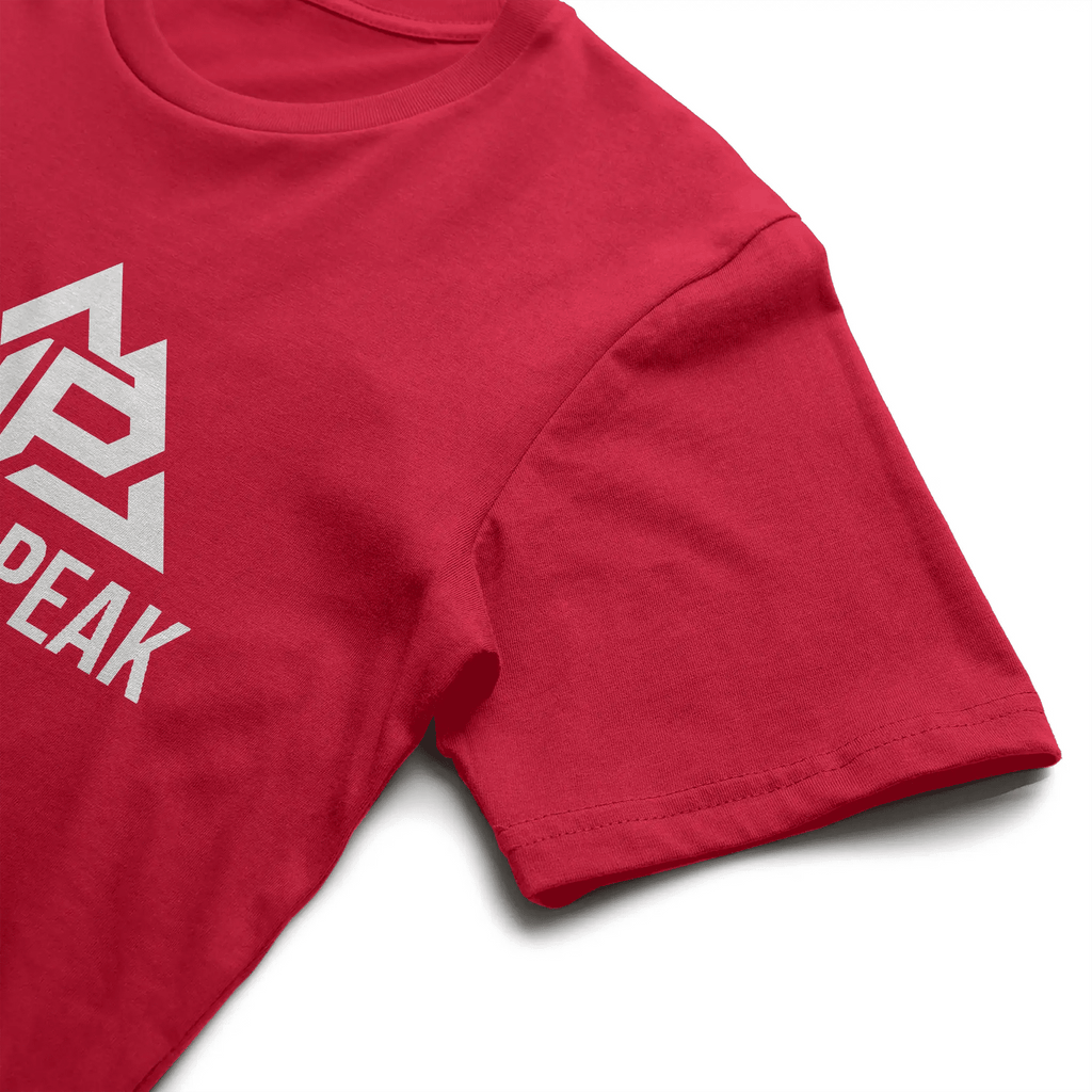 NP Men's Jersey T-Shirt - Nested Peak