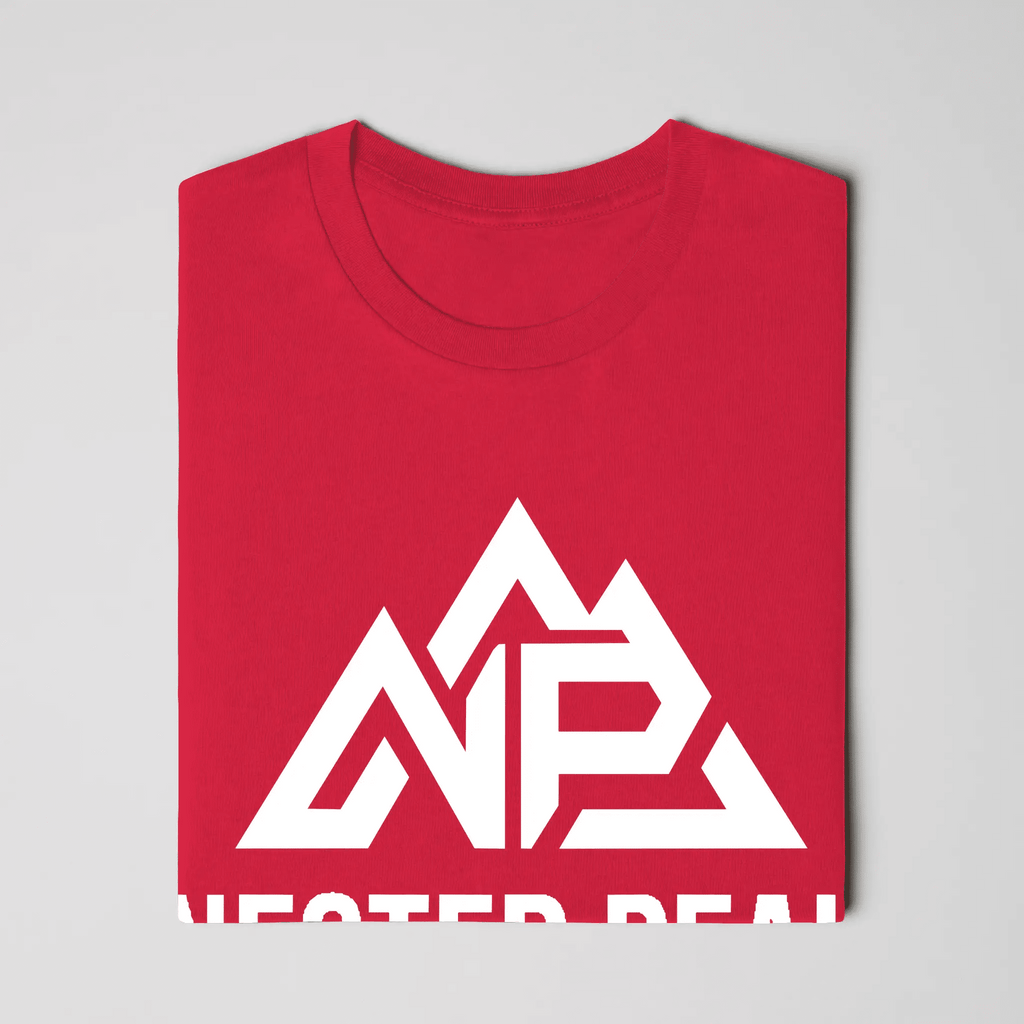 NP Men's Jersey T-Shirt - Nested Peak