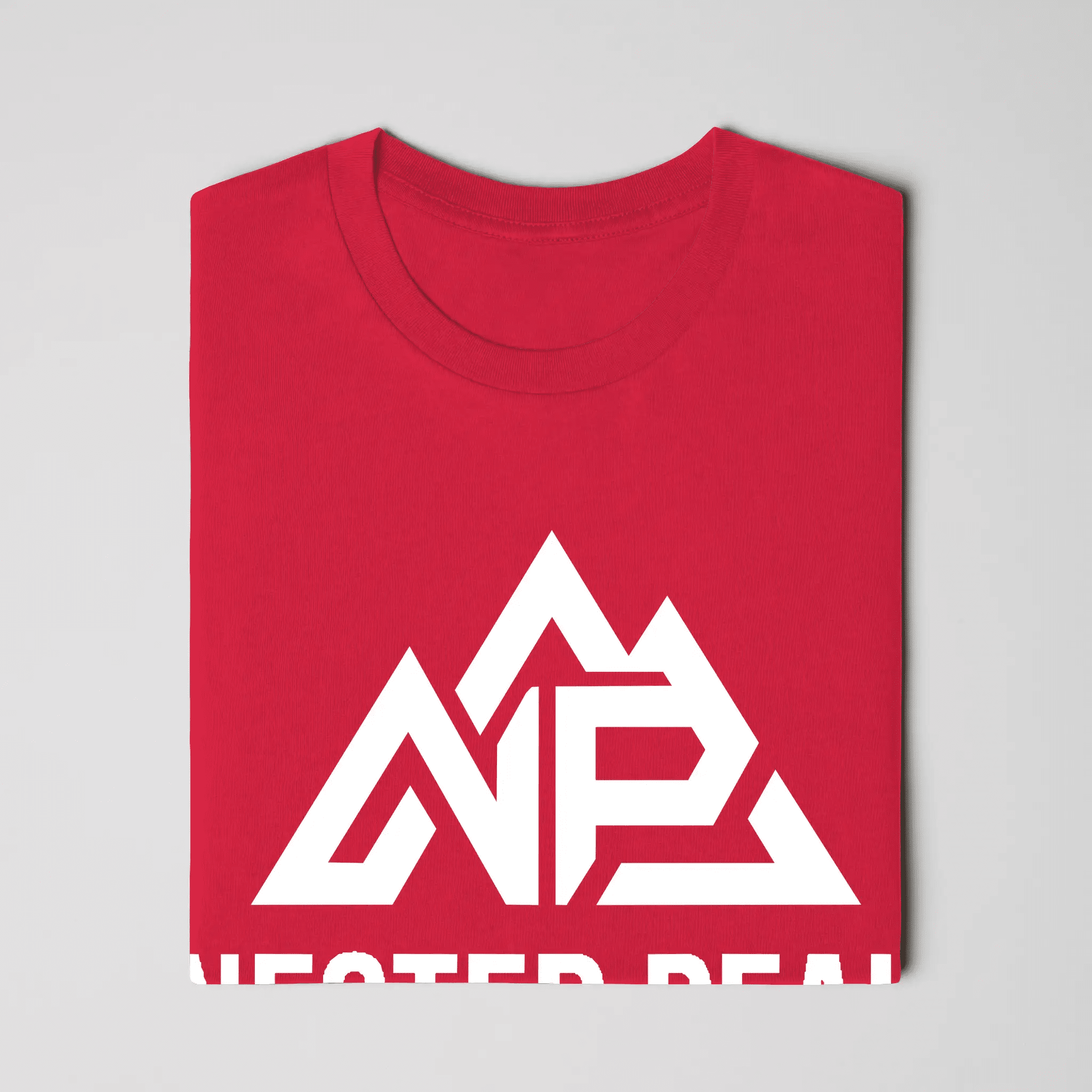NP Men's Jersey T-Shirt - Nested Peak