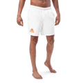 NP Swim Trunks - Nested Peak